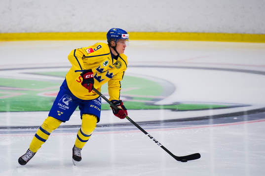 Sveriges Gabriel Karlsson