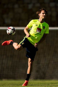 Albin Ekdal