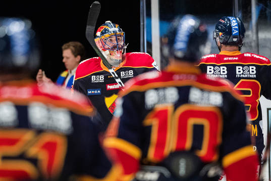 Djurgårdens spelare jublar med målvakt Mikael Tellqvist