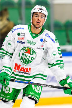 Rögles Alen Bibic