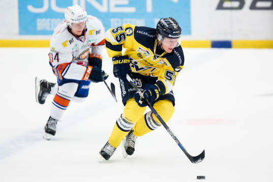s Andreas Borgman
