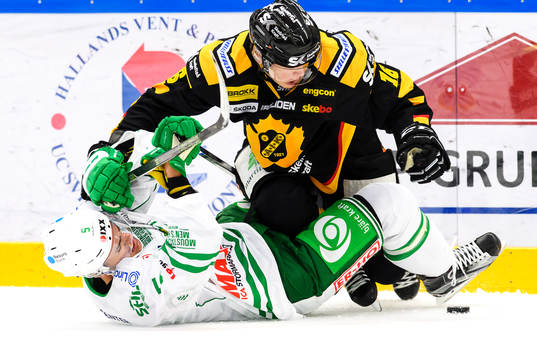 Rögles Alen Bibic