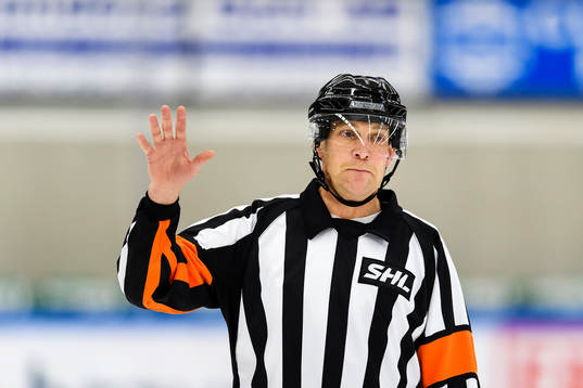 Domare Morgan Johansson