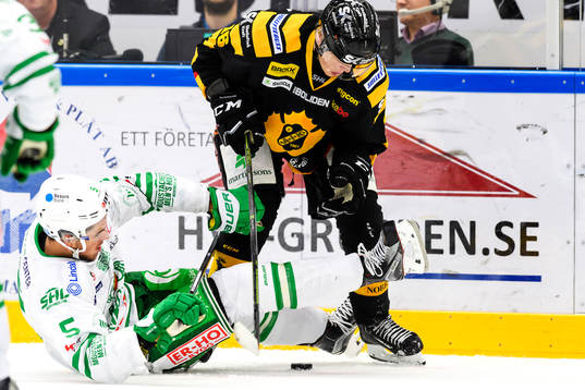 Rögles Alen Bibic