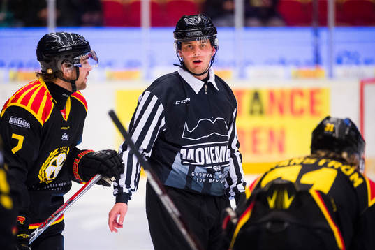 Domare Mikael Nord