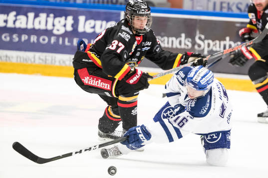 Leksands János Hári