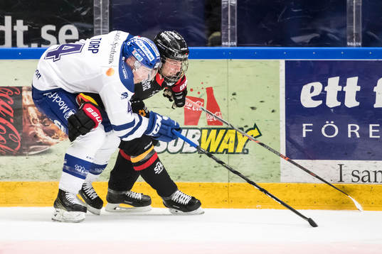 Leksands Nichlas Torp
