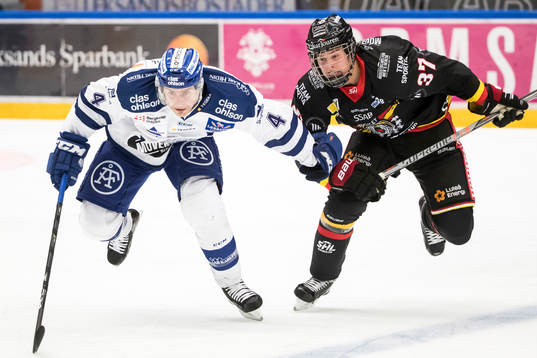 Leksands Nichlas Torp