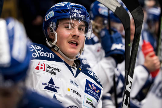 Leksands Martin Grönberg  i ishockeymatchen i SHL mellan