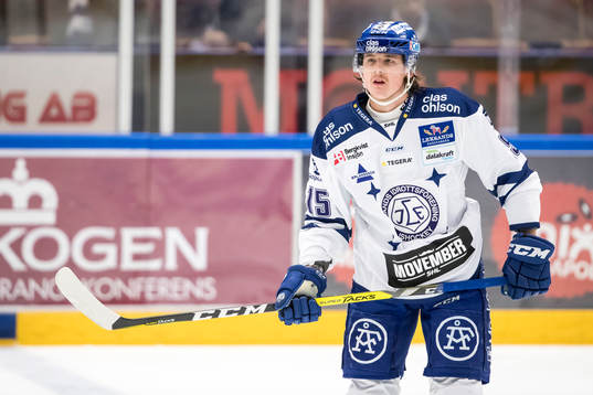 Leksands Johan Porsberger  i ishockeymatchen i SHL mellan