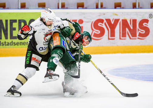 Malmö Redhawks Stefan Warg och Färjestads Alexander