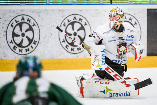 Malmö Redhawks målvakt Oscar Alsenfelt