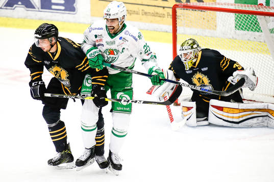 Skellefteås Marcus Pettersson och målvakt Joni Ortio