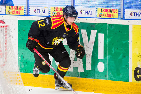 Brynäs Gustaf Thorell