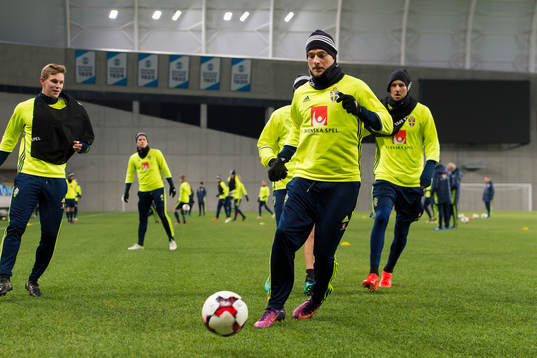 John Guidetti