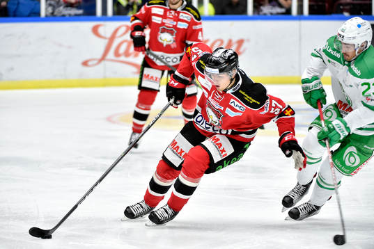 Bläddra bland fler bilder av Ishockey, SHL, Malmö Redhawks - Rögle