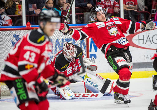 Malmö Redhawks målvakt Oscar Alsenfelt försöker få fri