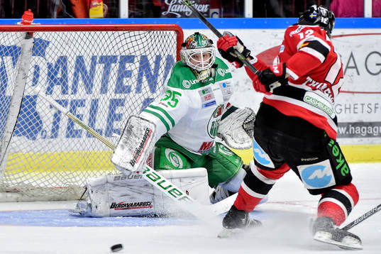 Malmö Redhawks Andreas Thuresson och Rögles målvakt