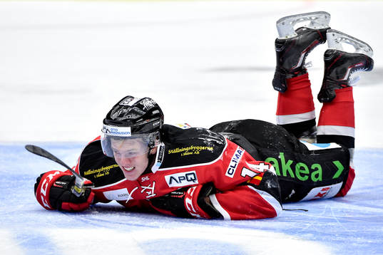 Malmö Redhawks Carl-Johan Lerby