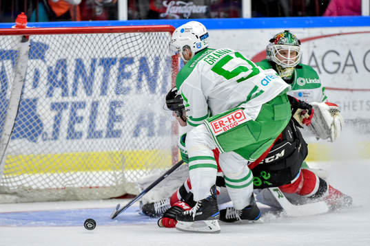 Malmö Redhawks Fredrik Händemark och Rögles Dominik