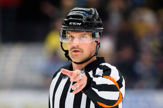 Domaren Mikael Nord
