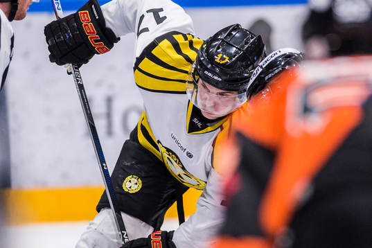 Brynäs Pathrik Westerholm