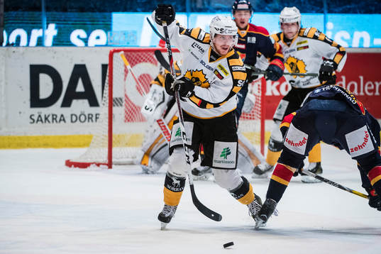 Skellefteås Niclas Burström