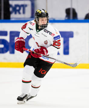 Modos Lukas Wernblom