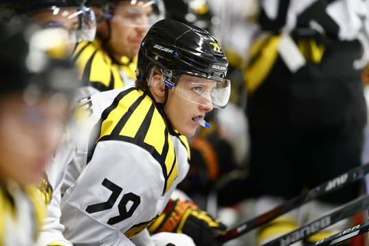 Brynäs Daniel Mannberg deppar