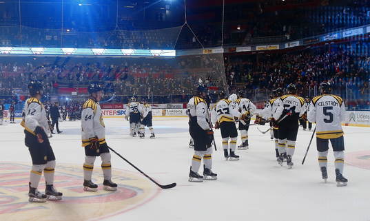 Brynäs spelare deppar