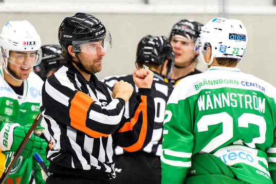 Domare Mikael Sjökvist