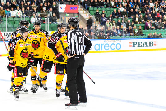 Luleås spelare jublar