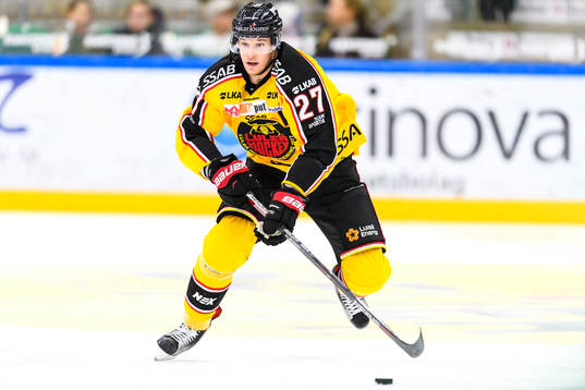 Luleås Brendan Mikkelson