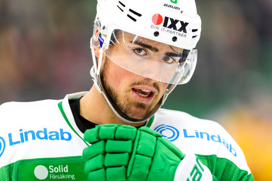 Rögles Alen Bibic