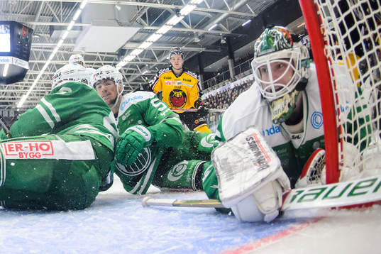 Rögles målvakt Oscar Dansk deppar