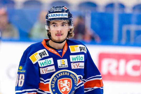 Växjös Adam Brodecki