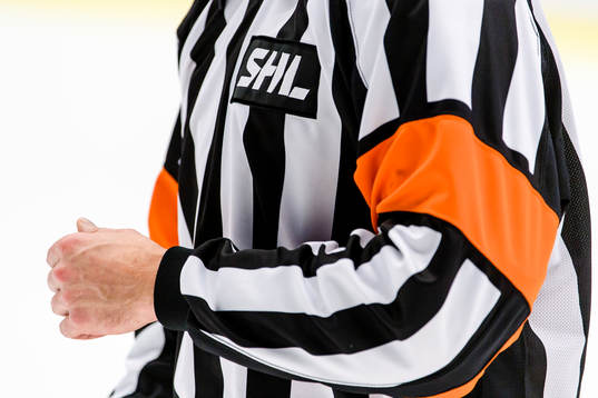 Domare och SHL logo