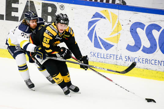 Bläddra bland fler bilder av Ishockey, SHL, Skellefteå - Hv71