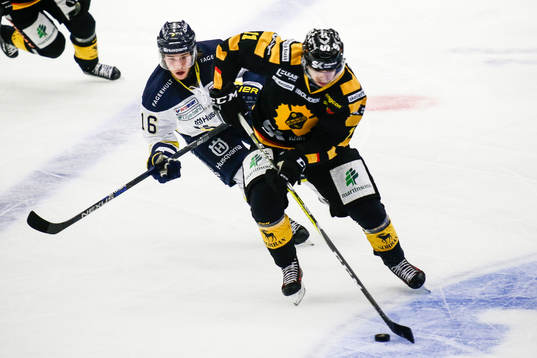 Skellefteås Henrik Hetta