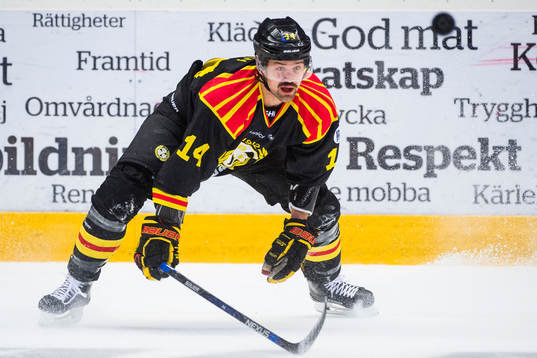 Brynäs Johan Alcén