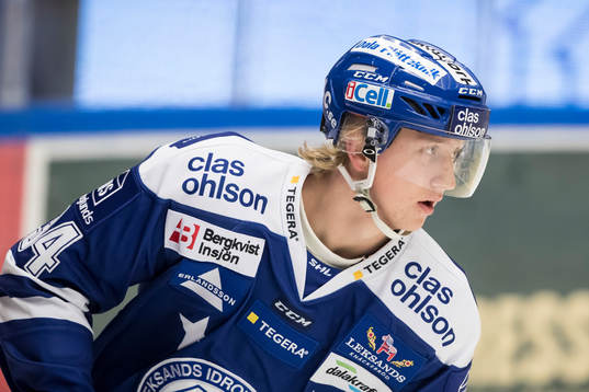 Leksands Olle Alsing  i ishockeymatchen i SHL mellan