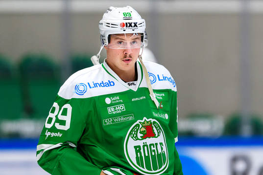 Rögles David Åslin