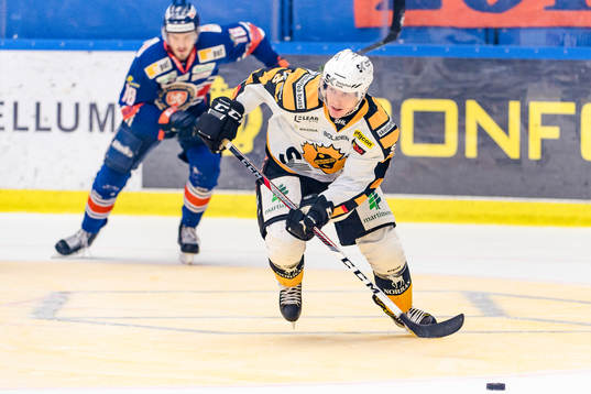 Skellefteås Niclas Burström