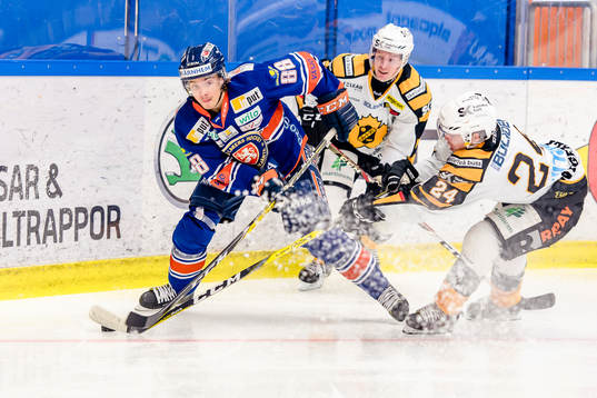 Växjös Adam Brodecki