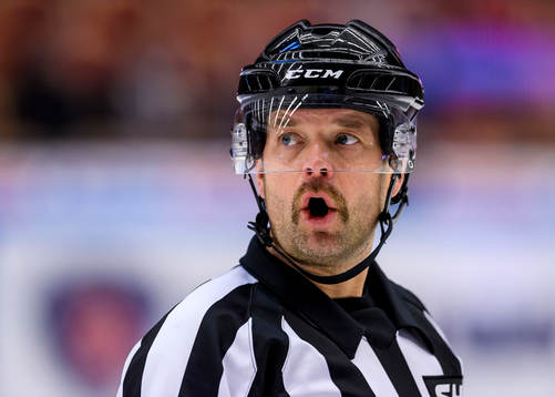 Domare Patrik Sjöberg