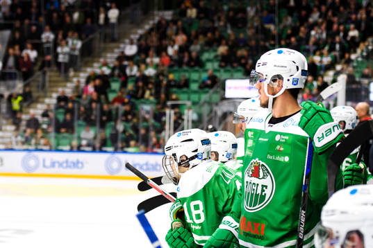 Rögles Timothy Liljegren och Alen Bibic