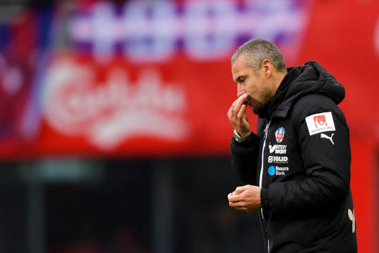 Helsingborgs manager Henrik Larsson