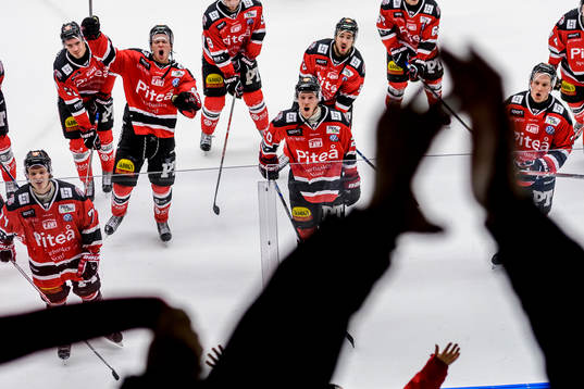 Piteåspelarna jublar framför hemmastå