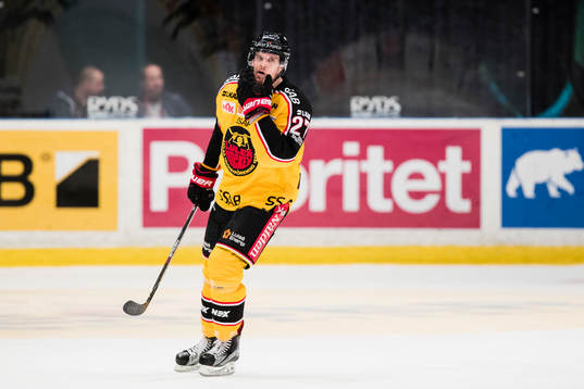 Luleås Brendan Mikkelson