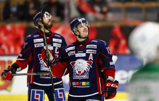 Linköpings Andrew Gordon jublar